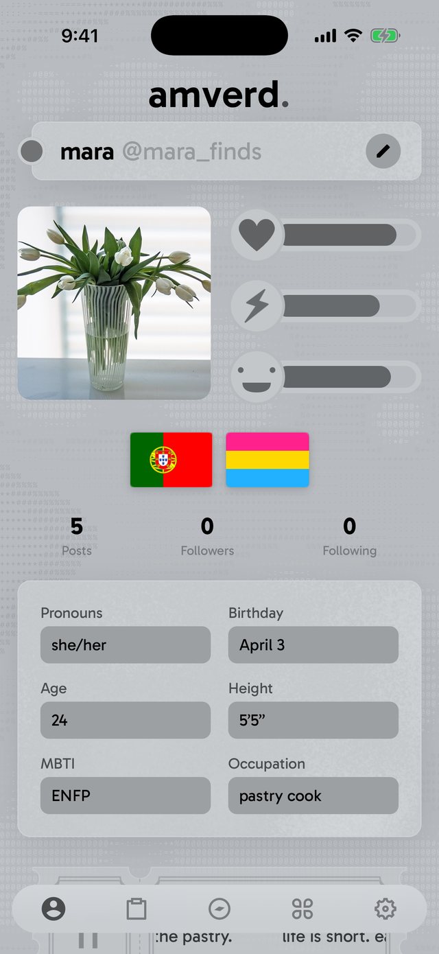 The About tab: name and handle, a photo, health, energy and mood gauges, two flags, counts and quick facts